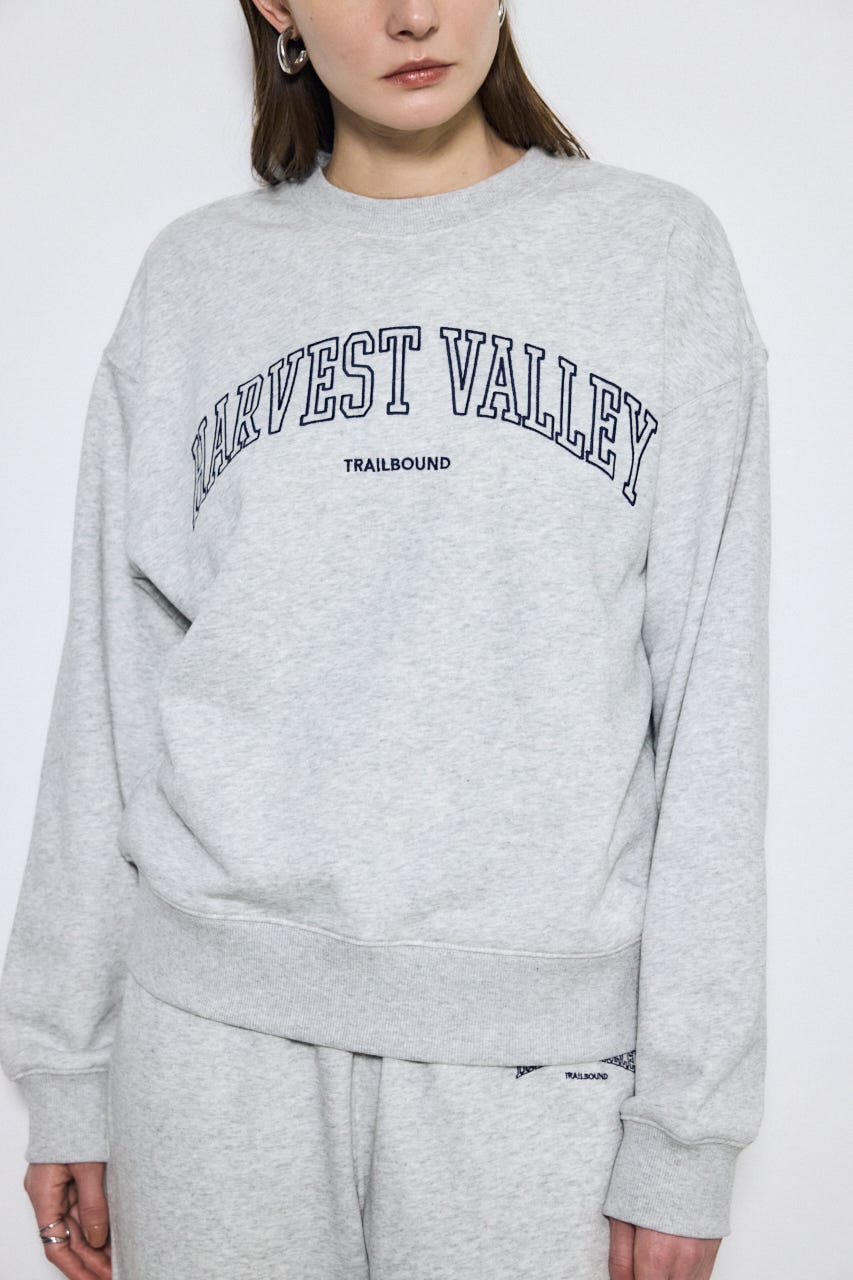 カレッジロゴ スウェットトップス L/T.GRY M