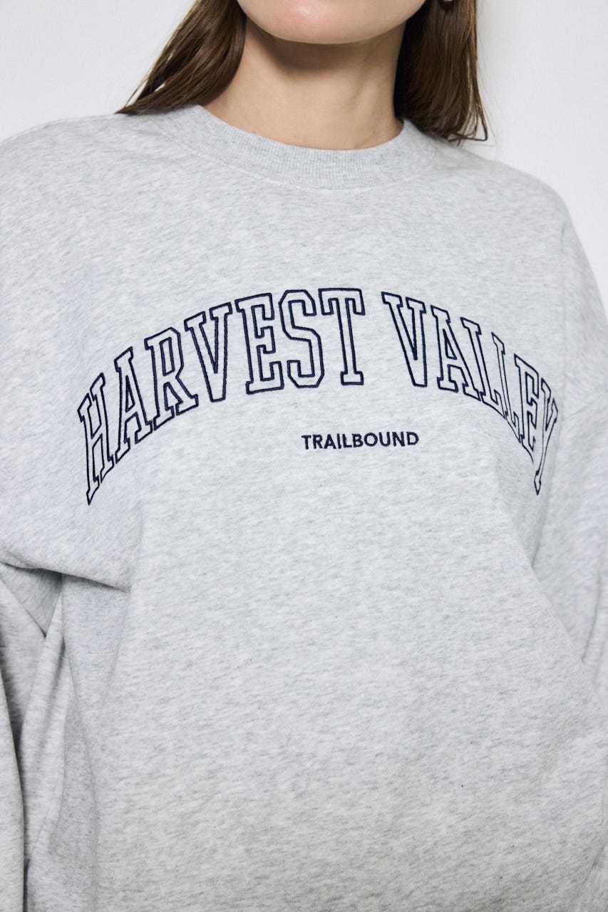 カレッジロゴ スウェットトップス L/T.GRY M