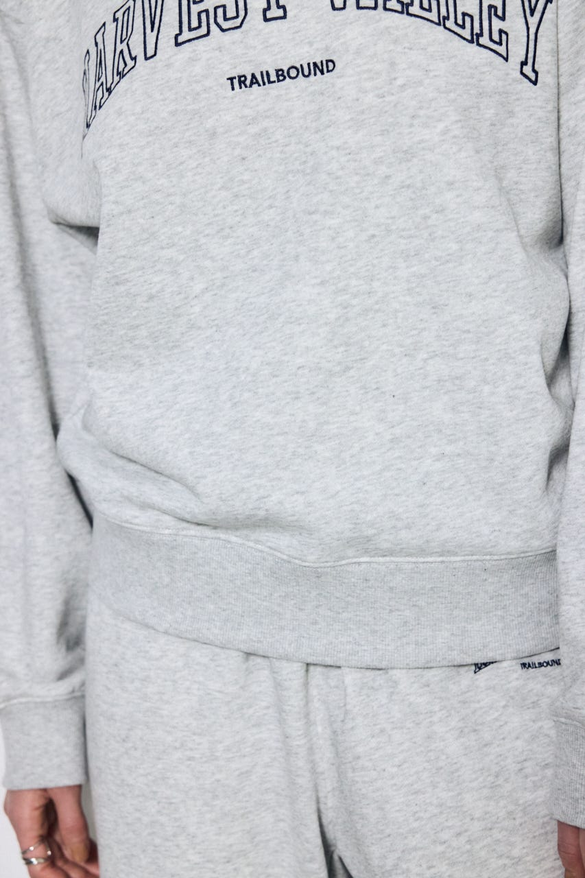 カレッジロゴ スウェットトップス L/T.GRY M