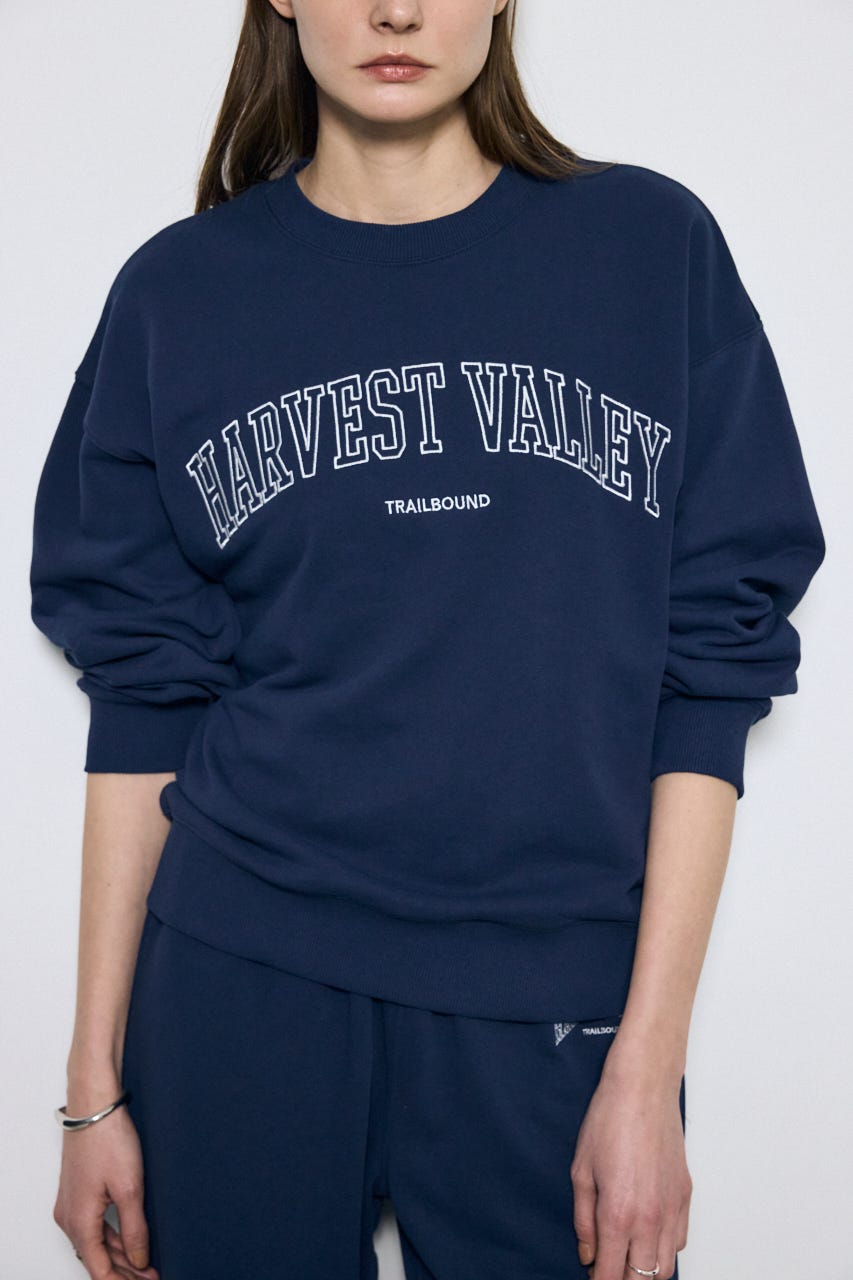 カレッジロゴ スウェットトップス NVY S