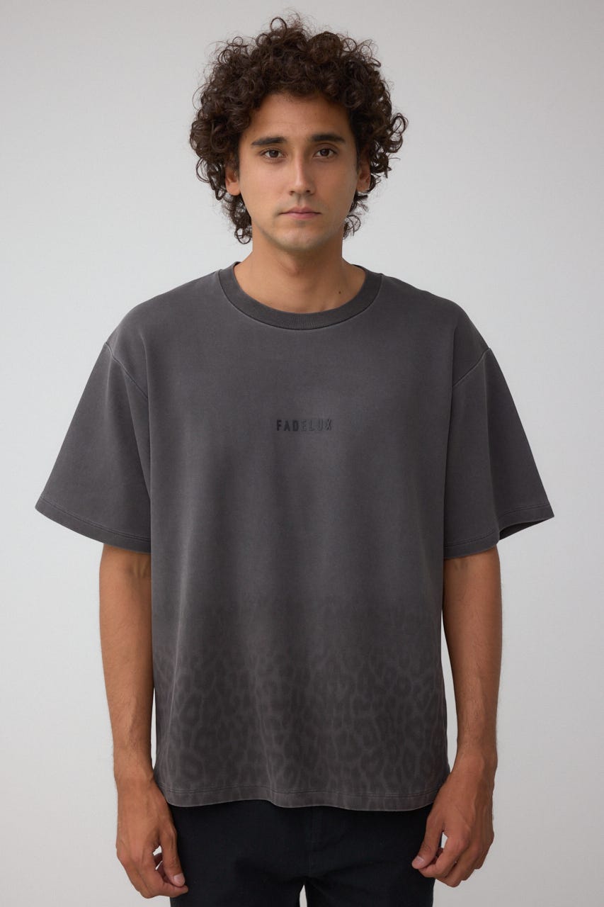 AZUL BY MOUSSY | グラデーションレオパードTシャツ (Tシャツ
