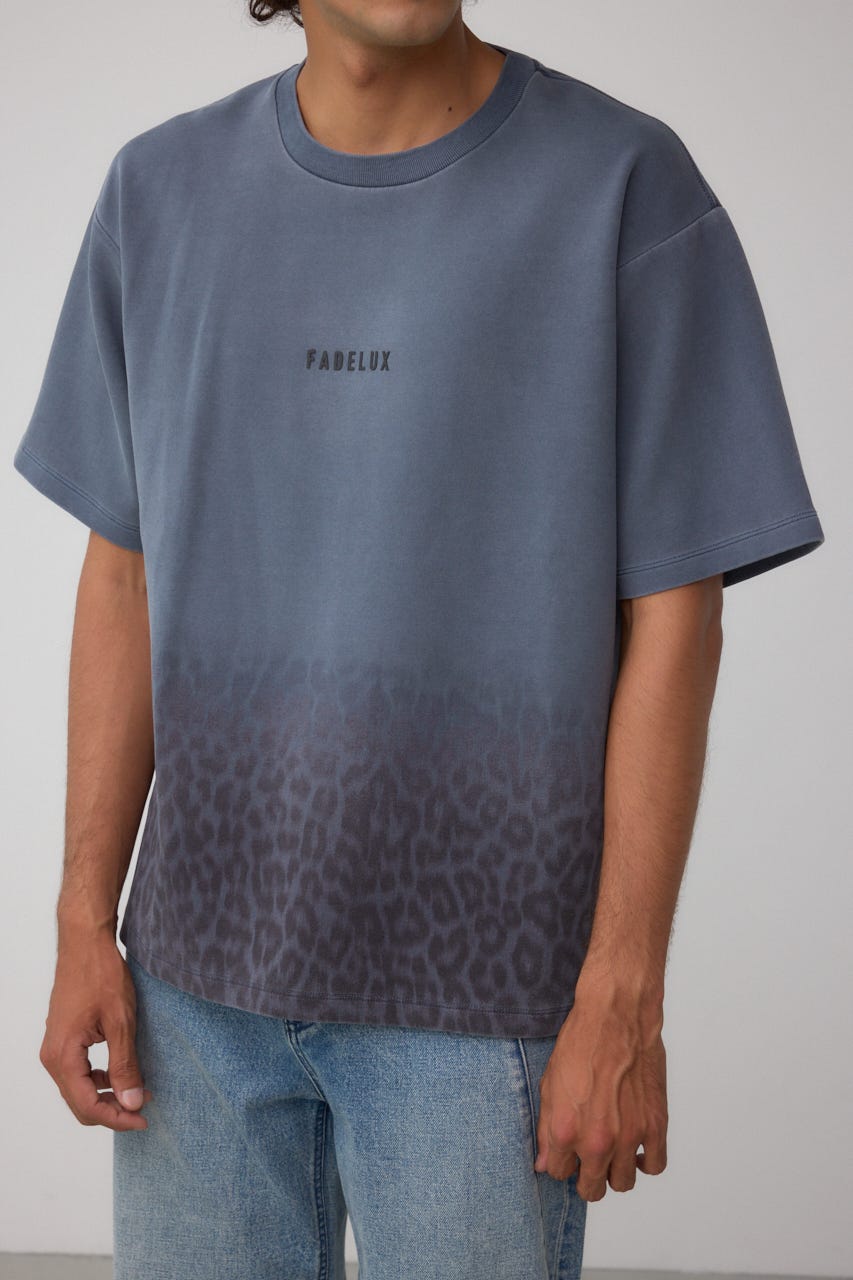 &ellecy アンドエルシー レオパード トップス AZUL BY MOUSSY | グラデーションレオパードTシャツ (Tシャツ