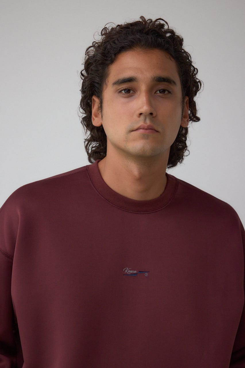 ダンボールトップス BRD L