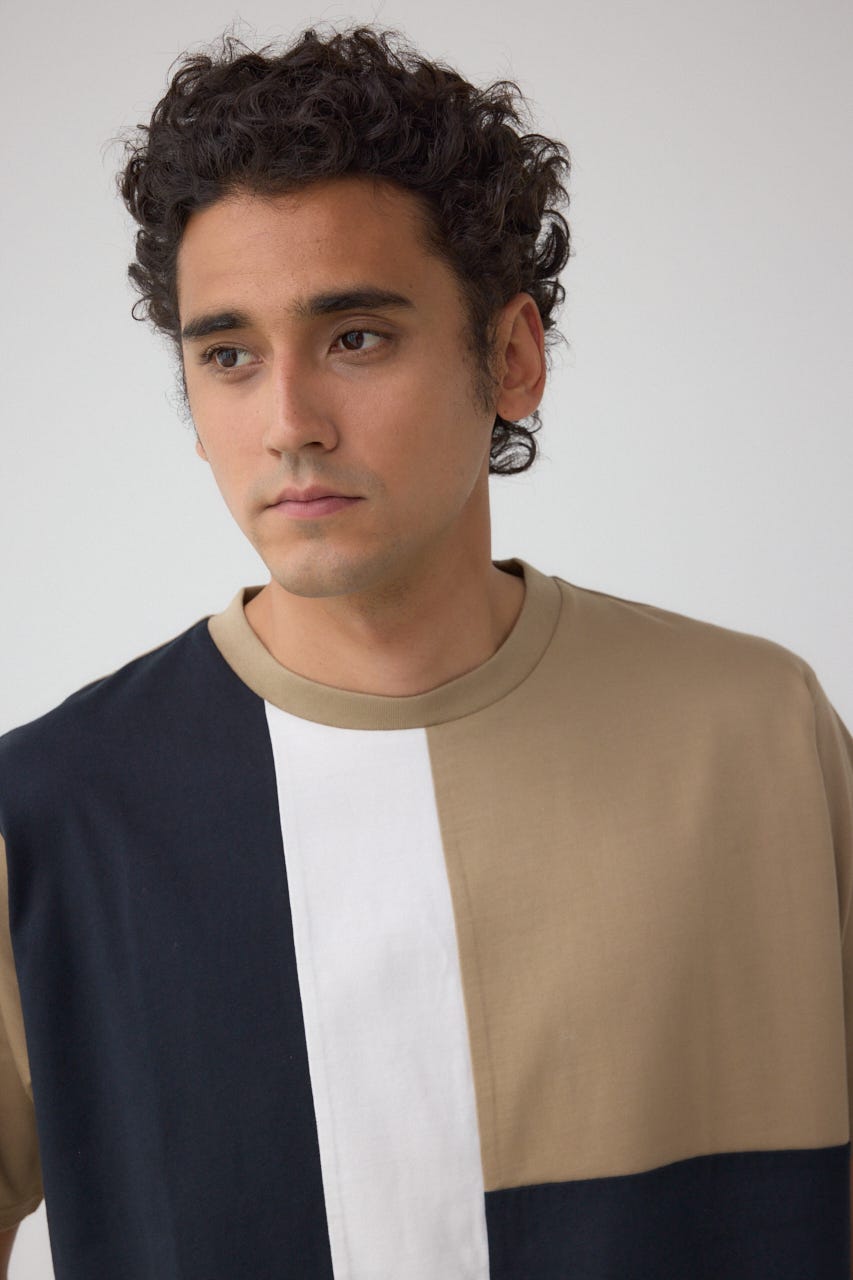 パネルスウィッチングTシャツ 柄BEG L