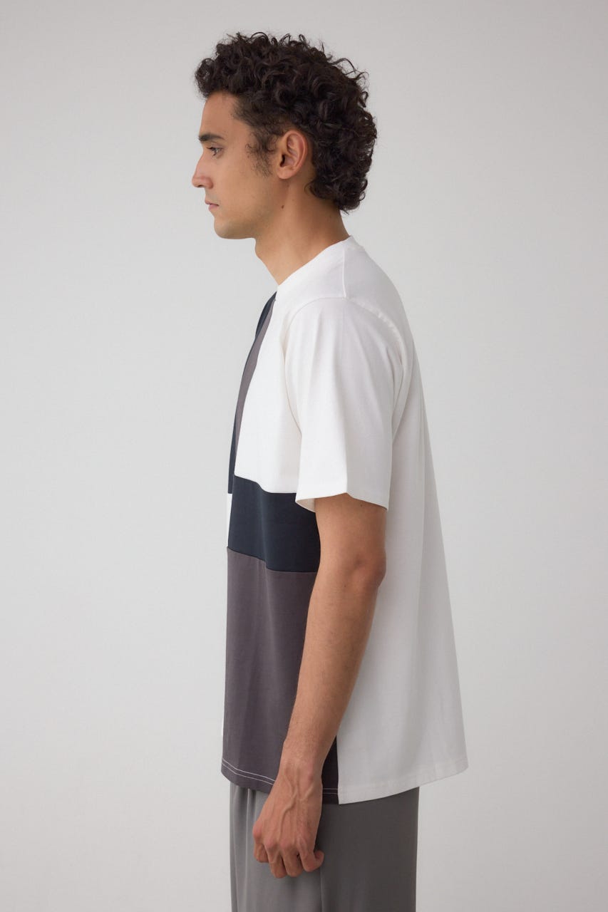 AZUL BY MOUSSY | パネルスウィッチングTシャツ (Tシャツ