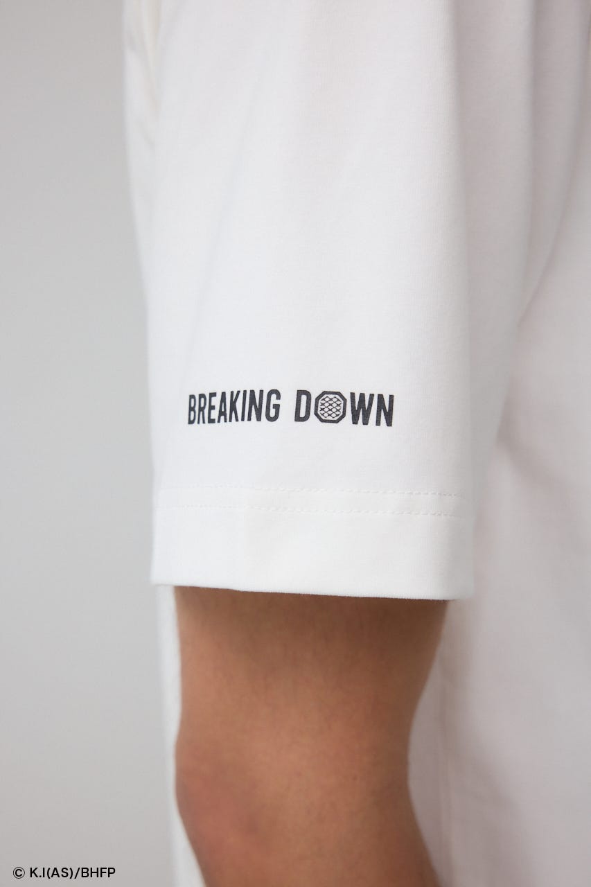 ホイッスルダウンザウィンド　Tシャツ ホイッスルダウンザウィンド Tシャツ