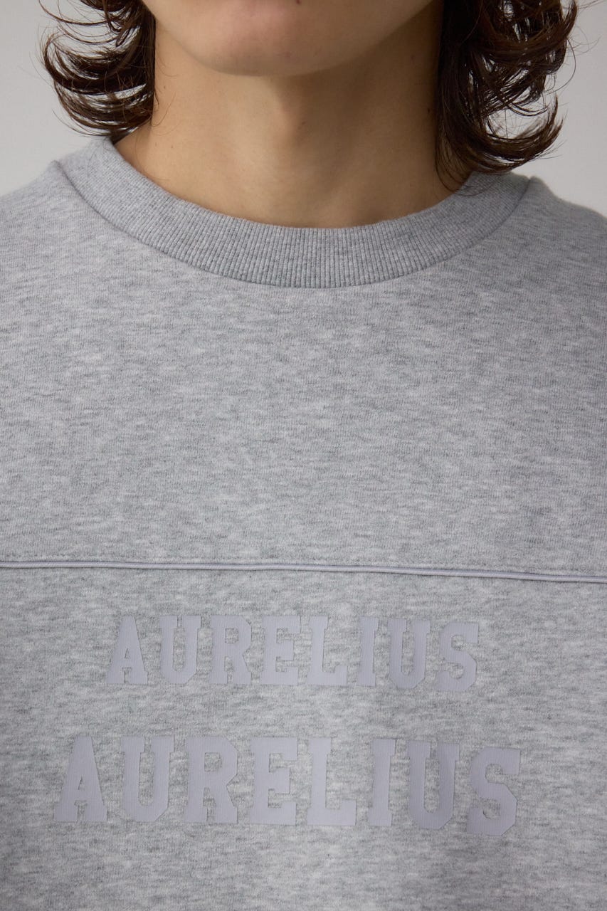 裏起毛パイピングデザイントップス T.GRY M