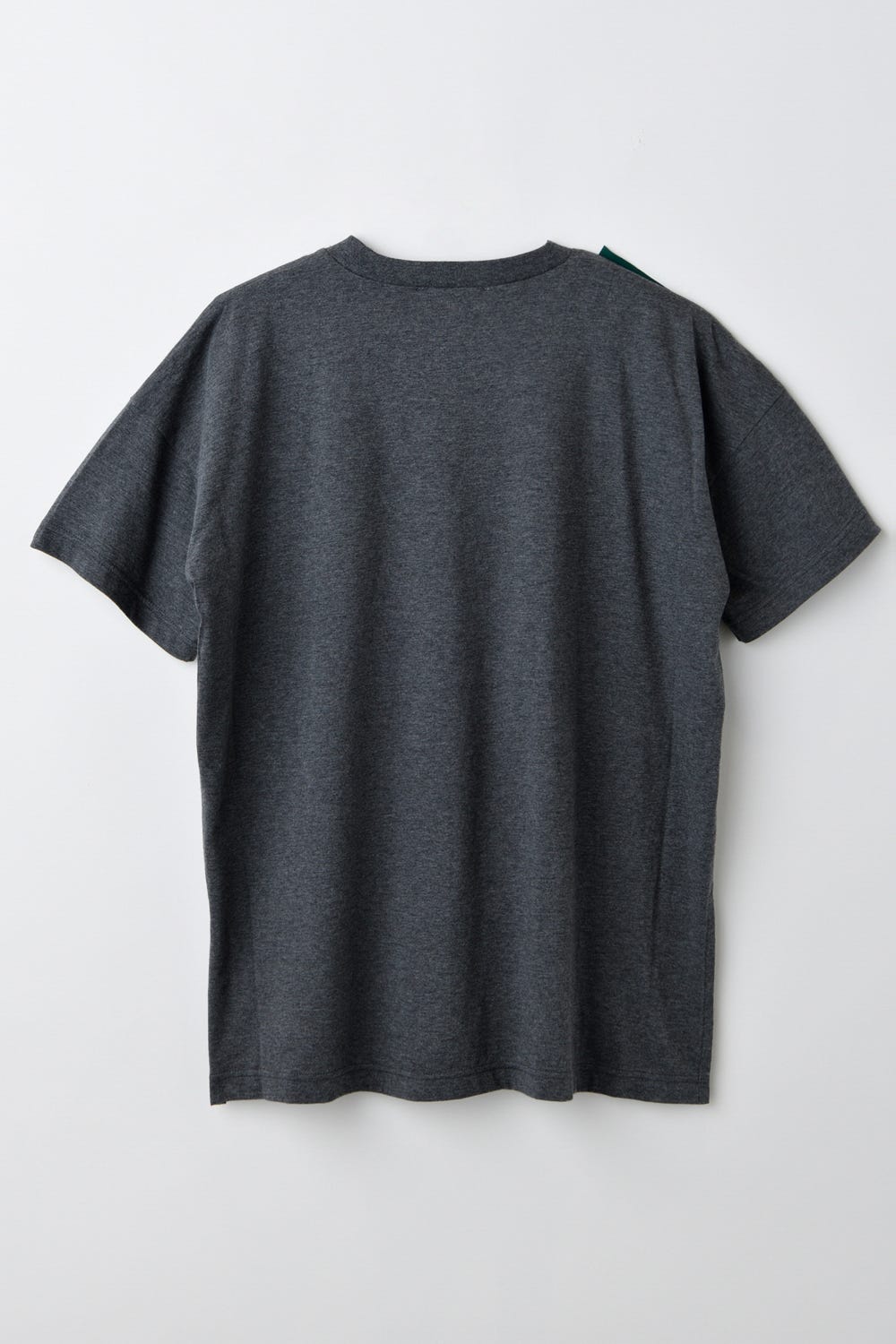 COLLAR DOCKING T-SHIRT｜38｜WHT｜CUT AND SEWN｜|ENFÖLD