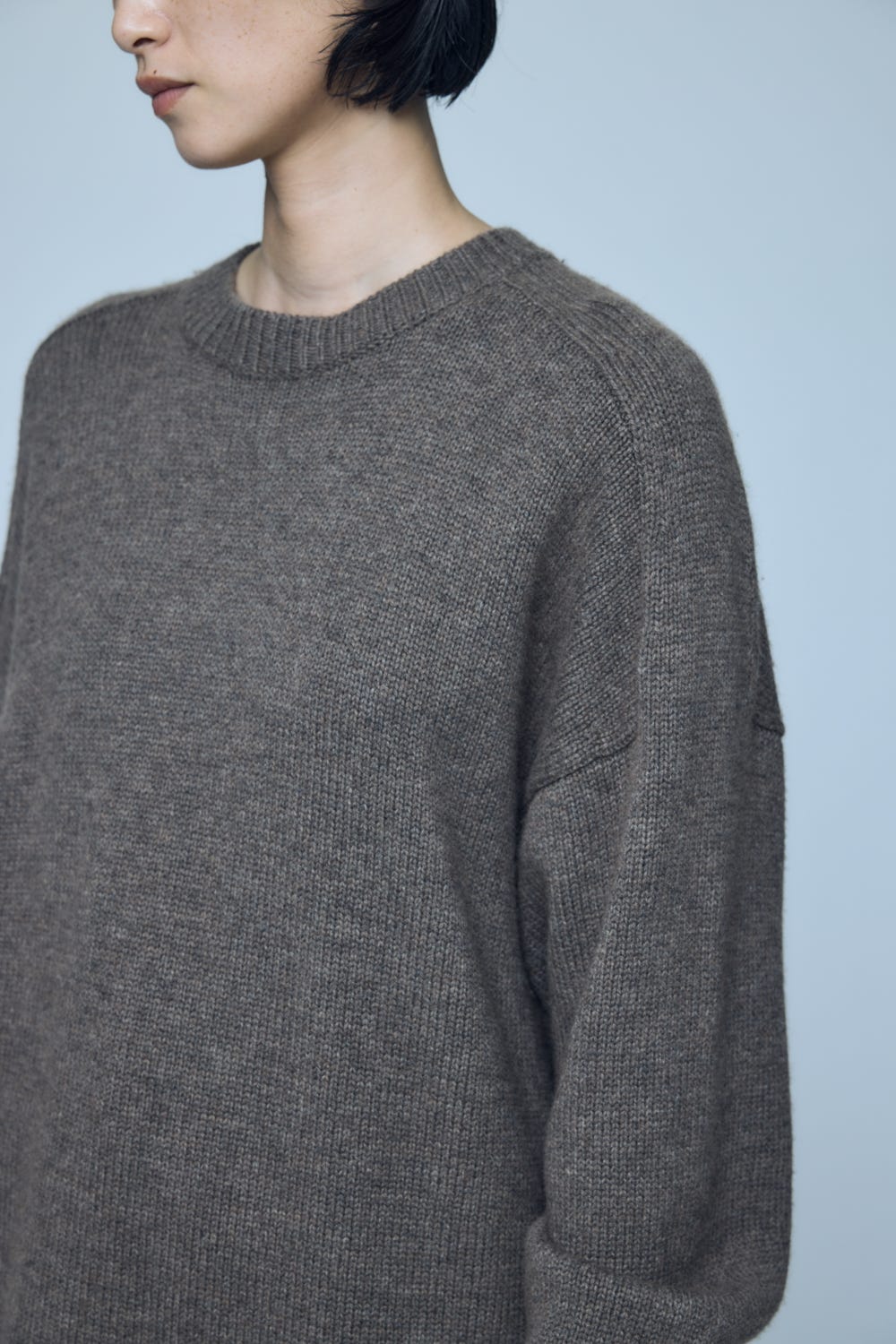 CREW-NECK PULLOVER M/BRN 38