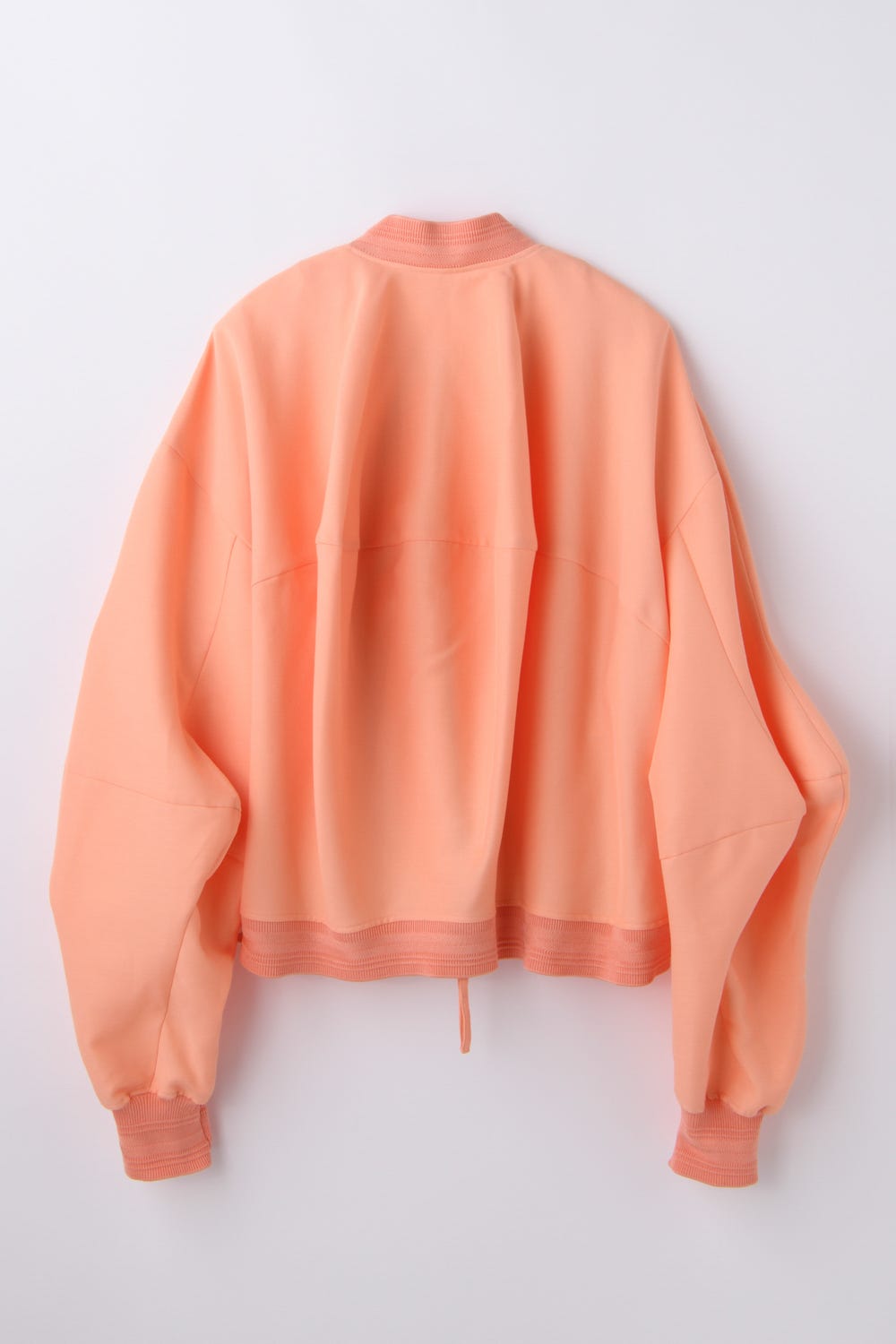 MONSTER SLEEVES BLOUSON L/ORG 38