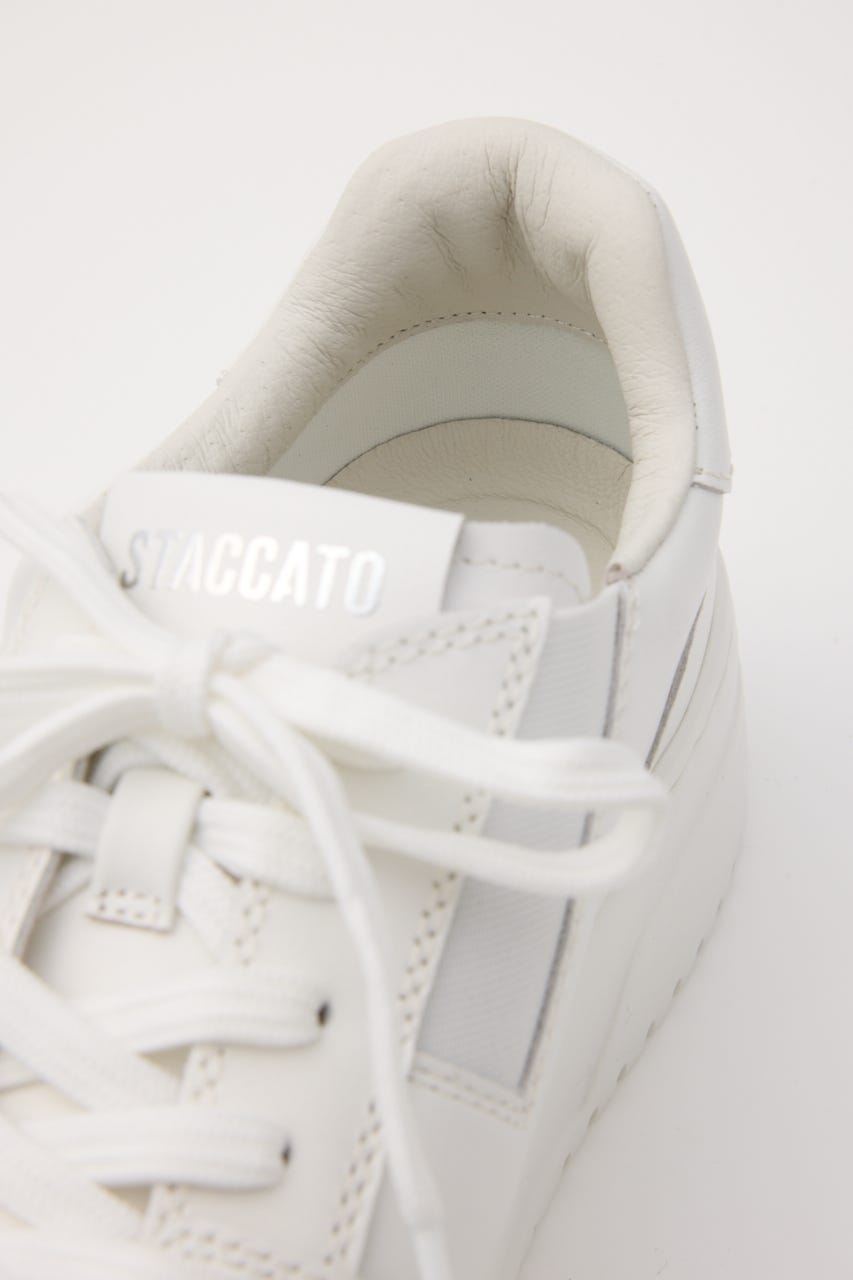 STACCATO | ジョシューライトスニーカー (スニーカー ) |SHEL'TTER