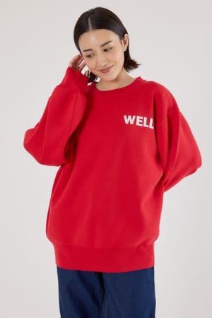 フェルトアップリケニットトップス