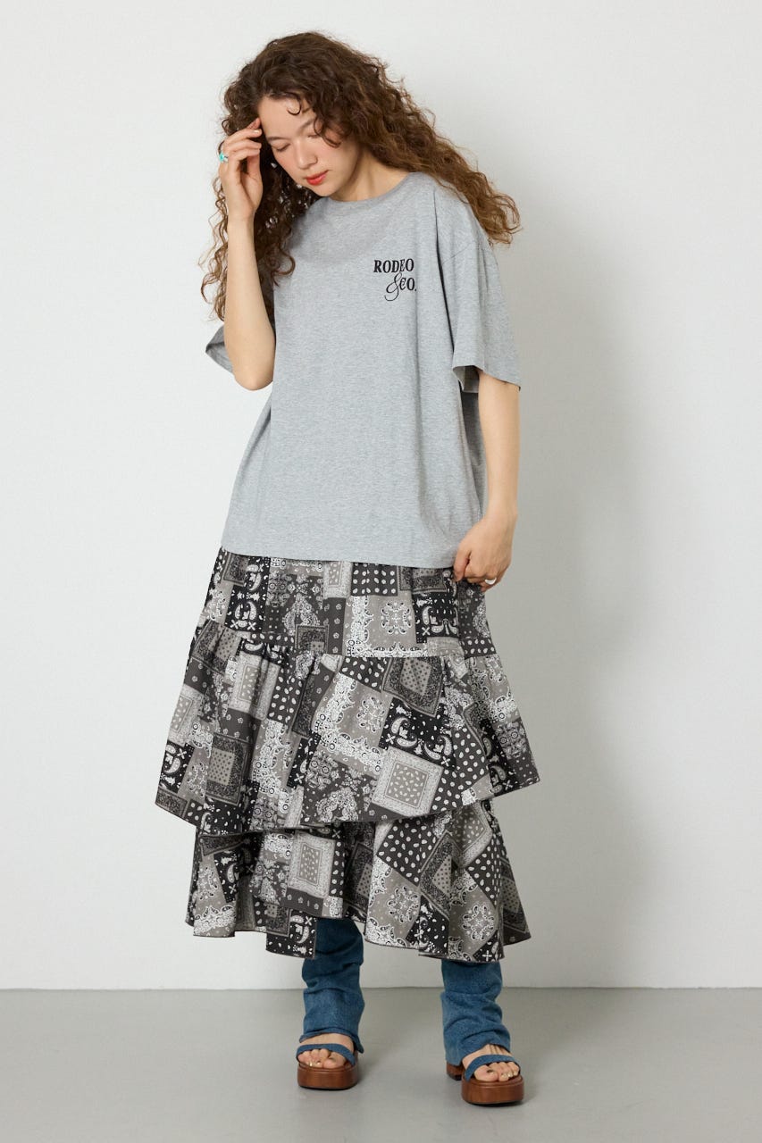 MASTER PROTECT Spray ロゴTシャツ T.GRY FREE