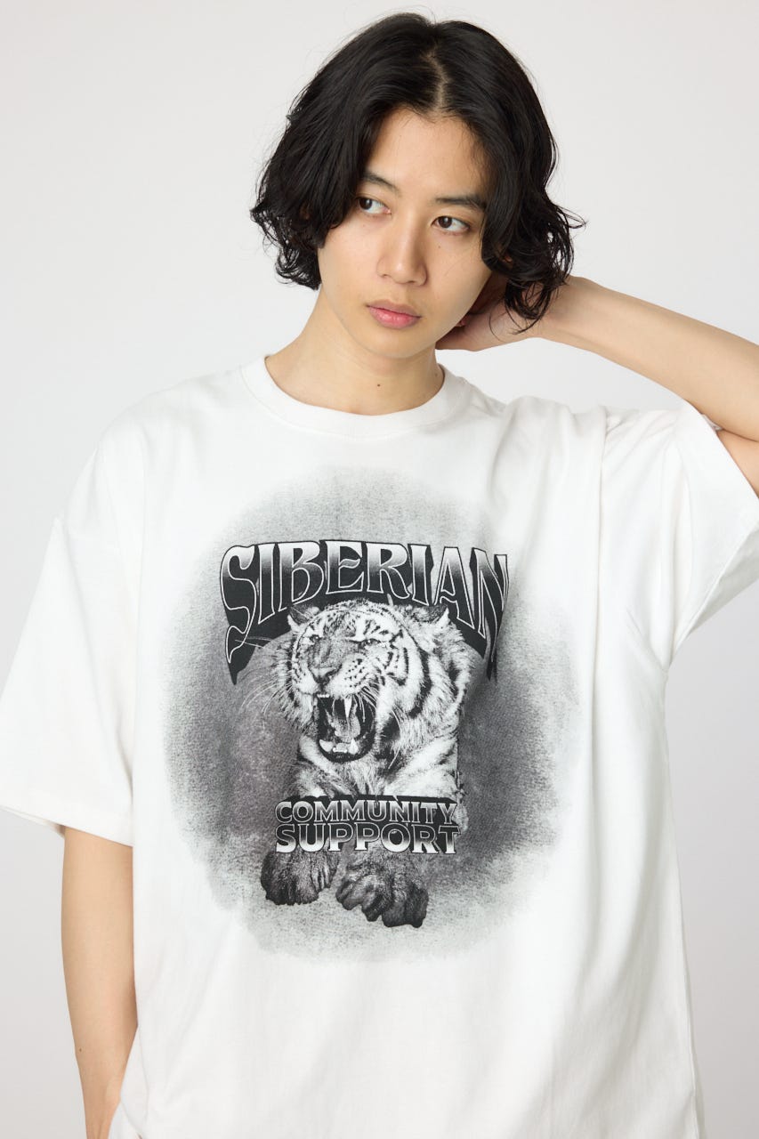 男の子向けプレゼント集結 CROWNS RODEO WIDE (Tシャツ フェードタイガーTシャツ | BOWL トップス