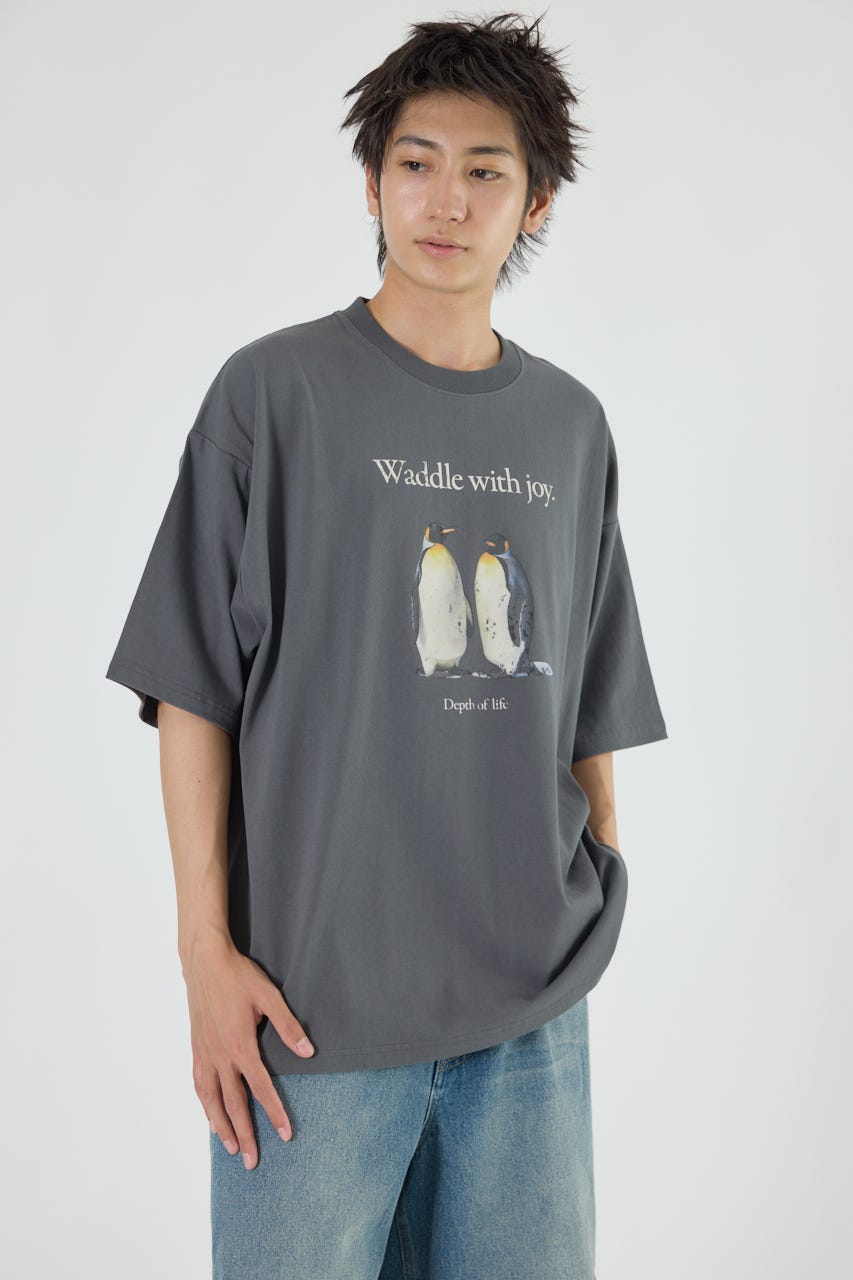 Tシャツ・カットソー Drumohr TSHIRT L/S FROSTED (17882) RODEO CROWNS WIDE BOWL | アニマルフォトTシャツ (Tシャツ