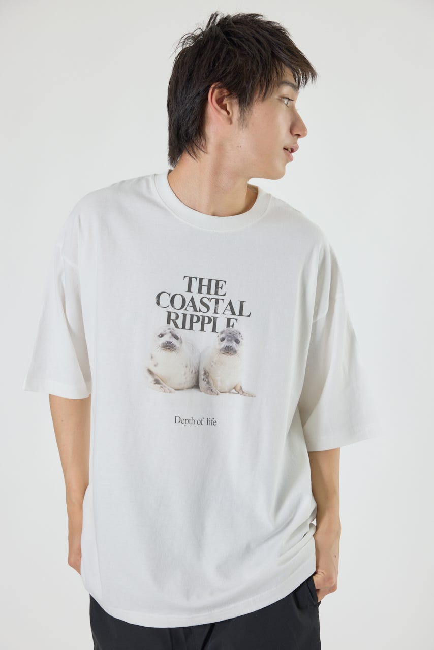 RODEO CROWNS WIDE BOWL | アニマルフォトTシャツ (Tシャツ