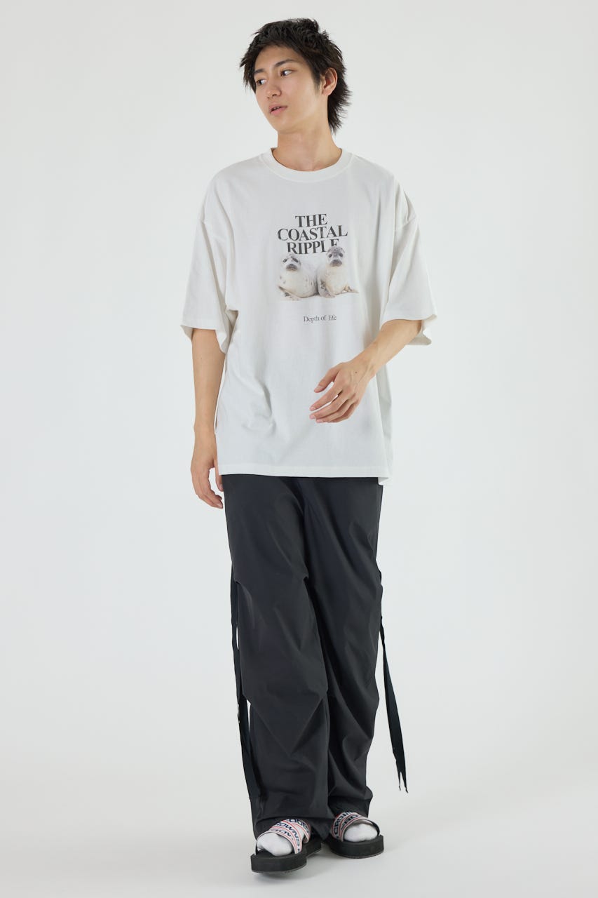 RODEO CROWNS WIDE BOWL | アニマルフォトTシャツ (Tシャツ