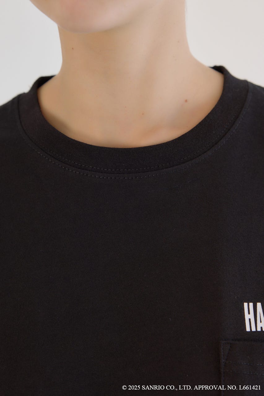 (サンリオキャラクターズ)ビーチハンギョドンTシャツ BLK FREE