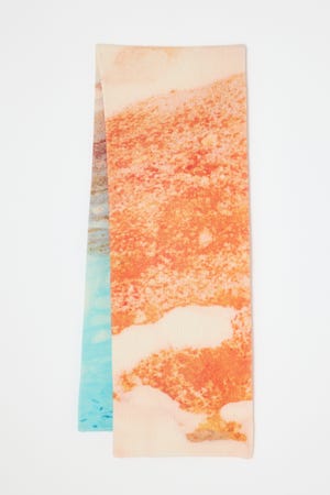 winter landscape muffler