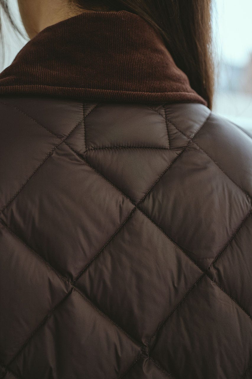 【別注】TAIONダウンジャケット BRN FREE