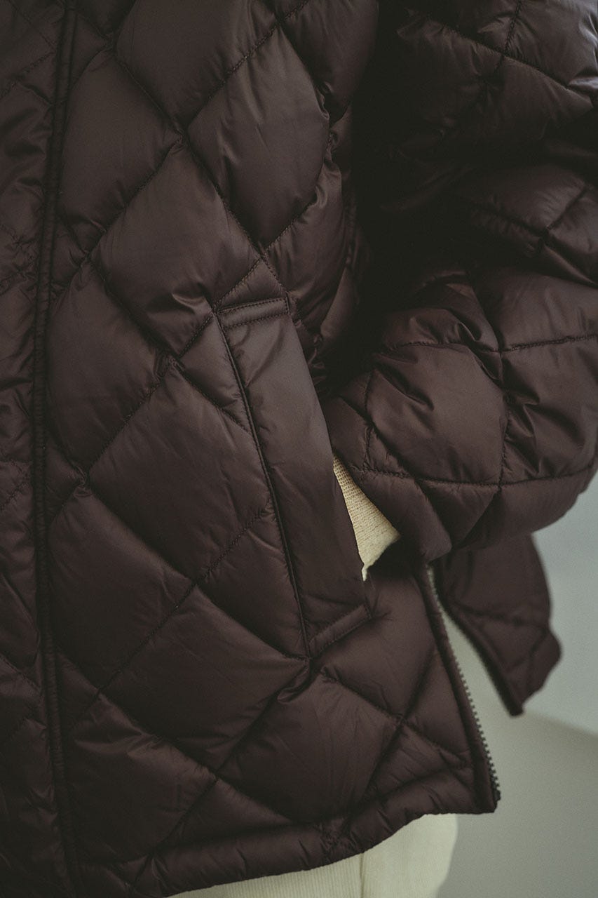 【別注】TAIONダウンジャケット BRN FREE