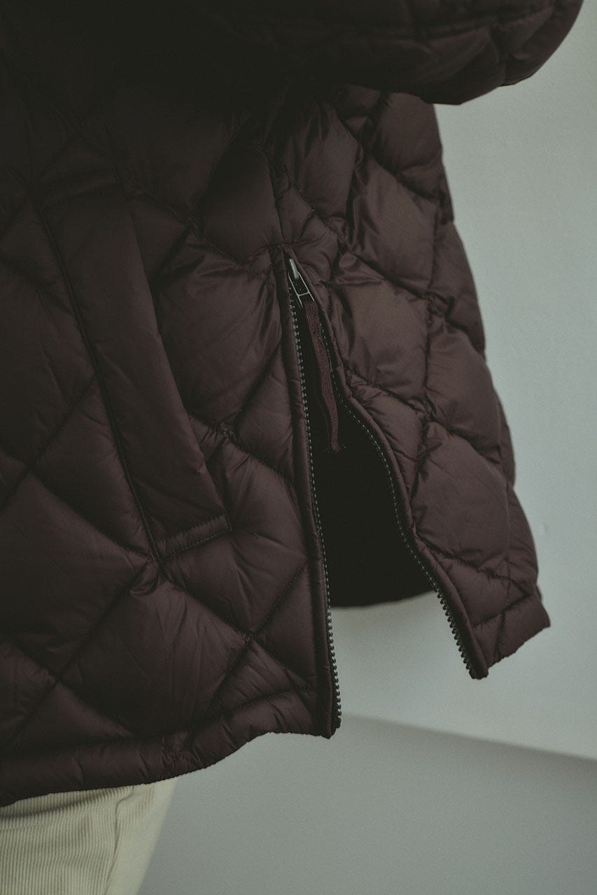 【別注】TAIONダウンジャケット BRN FREE