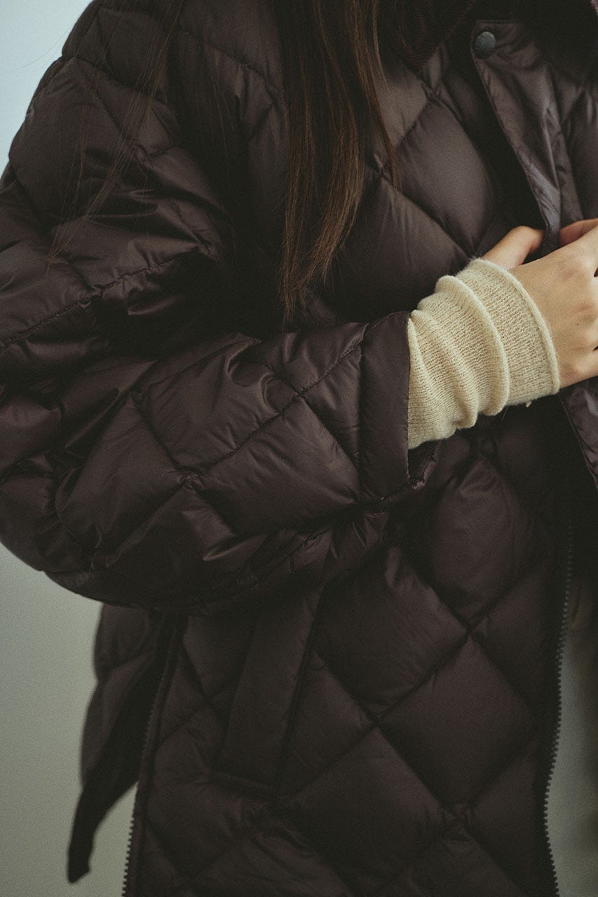 【別注】TAIONダウンジャケット BRN FREE