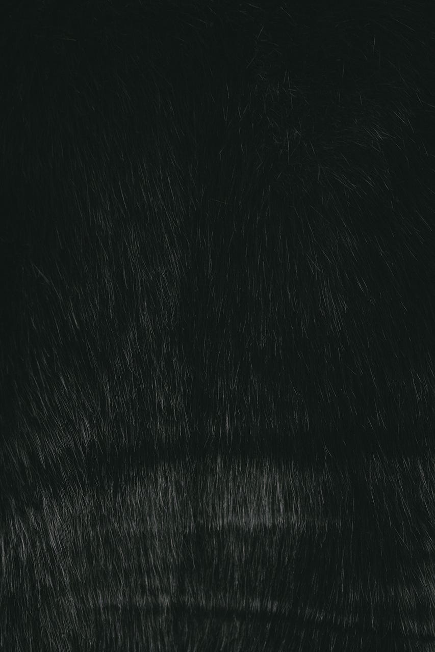 ノーカラーファージャケット BLK FREE