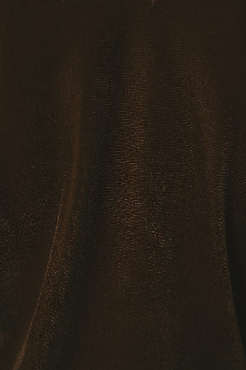 メッシュベロアロンT BRN FREE