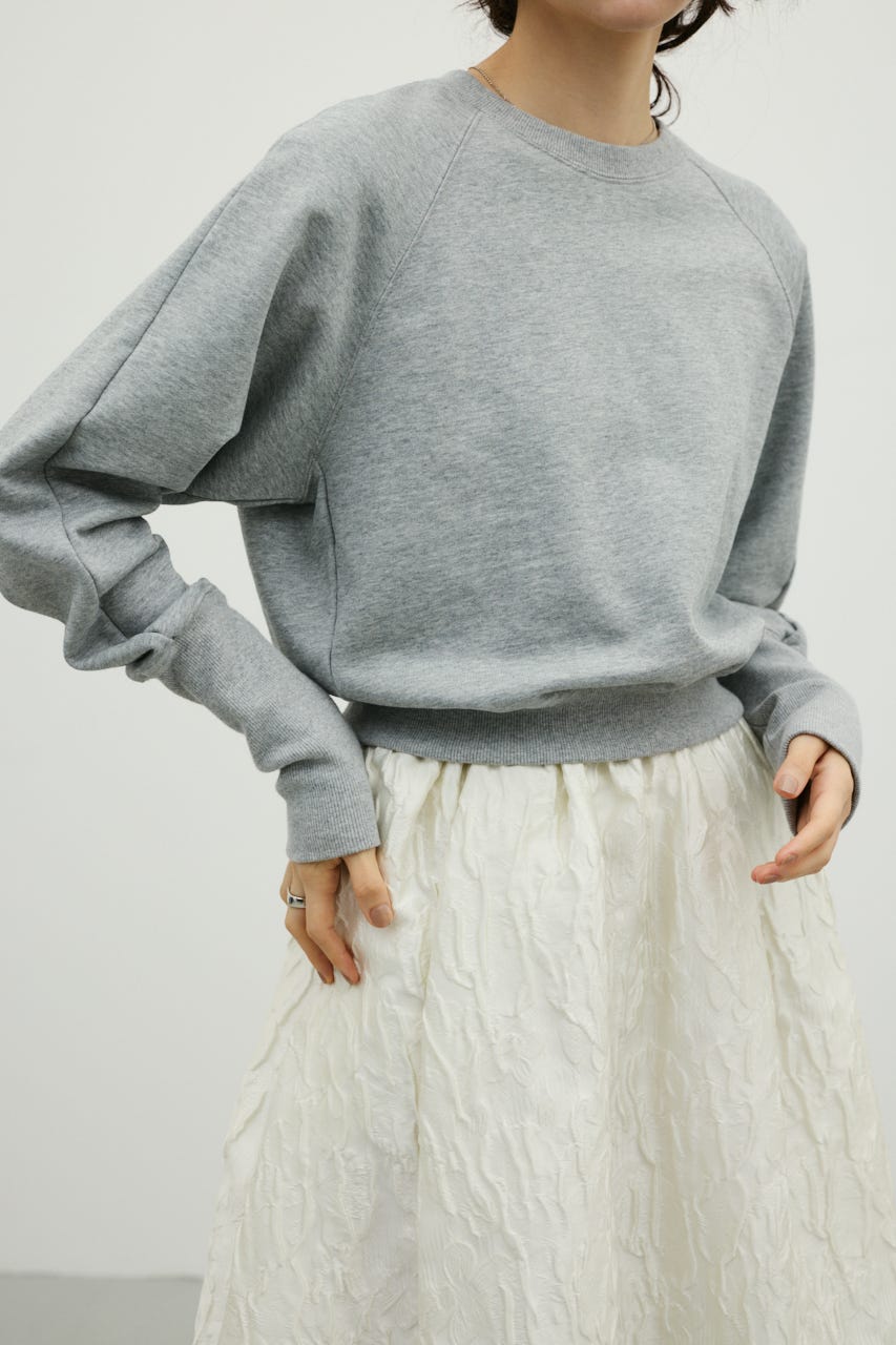 コンパクトスウェットトップ T.GRY FREE