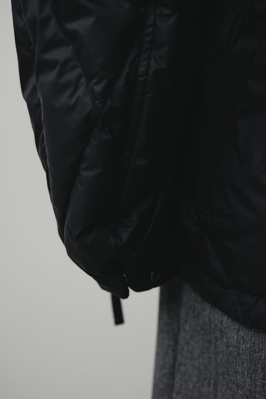 【別注】TAIONデタッチャブルダウン BLK FREE