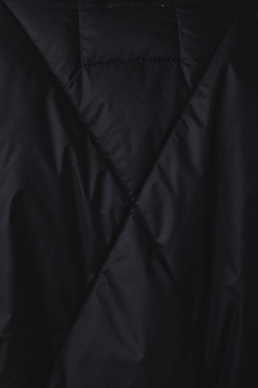 【別注】TAIONデタッチャブルダウン BLK FREE
