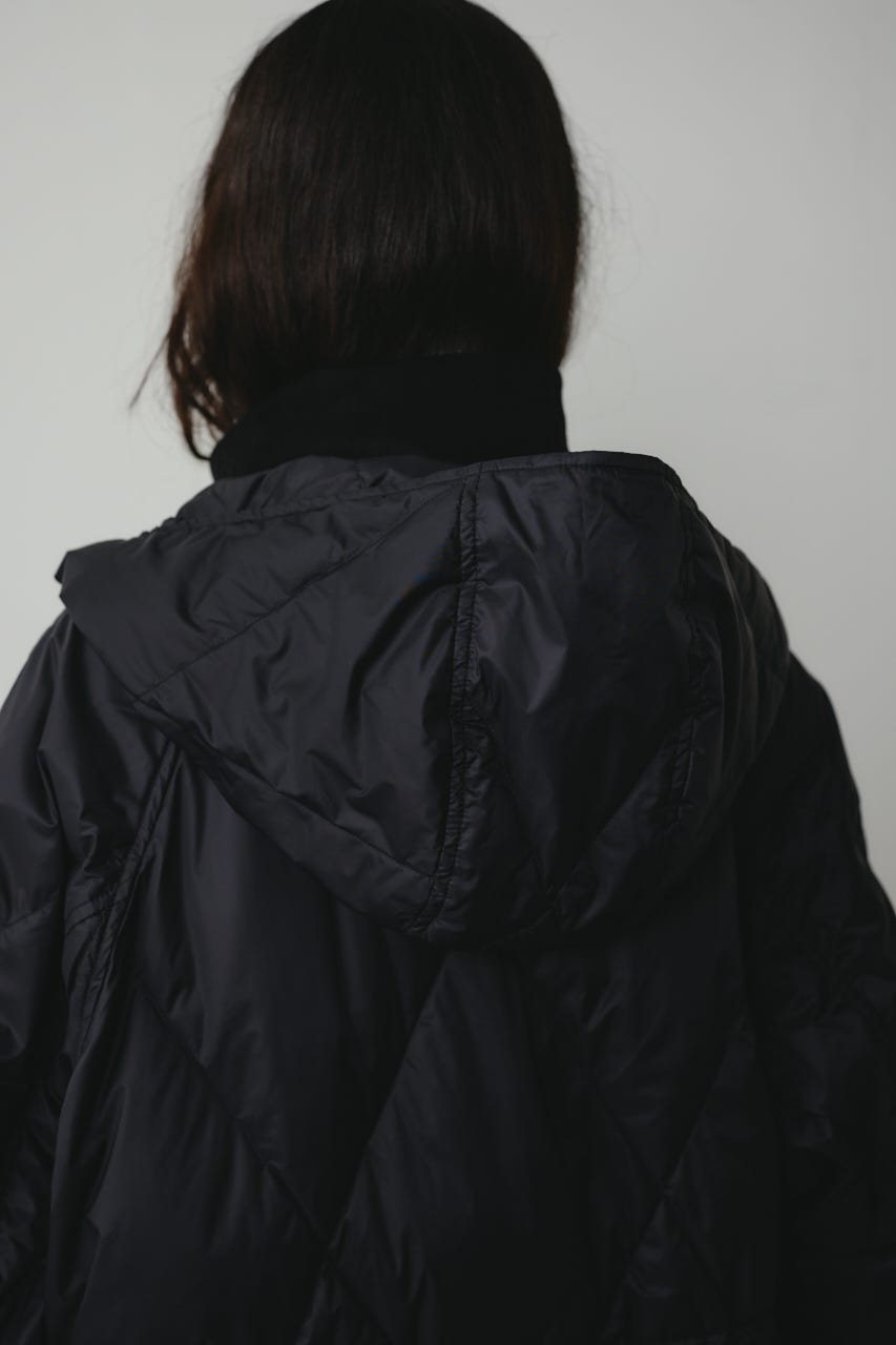 【別注】TAIONロングダウン BLK FREE
