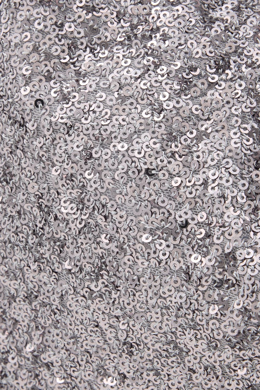 SEQUINS BIG バッグ SLV FREE