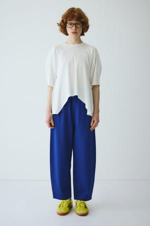 Ponte pants