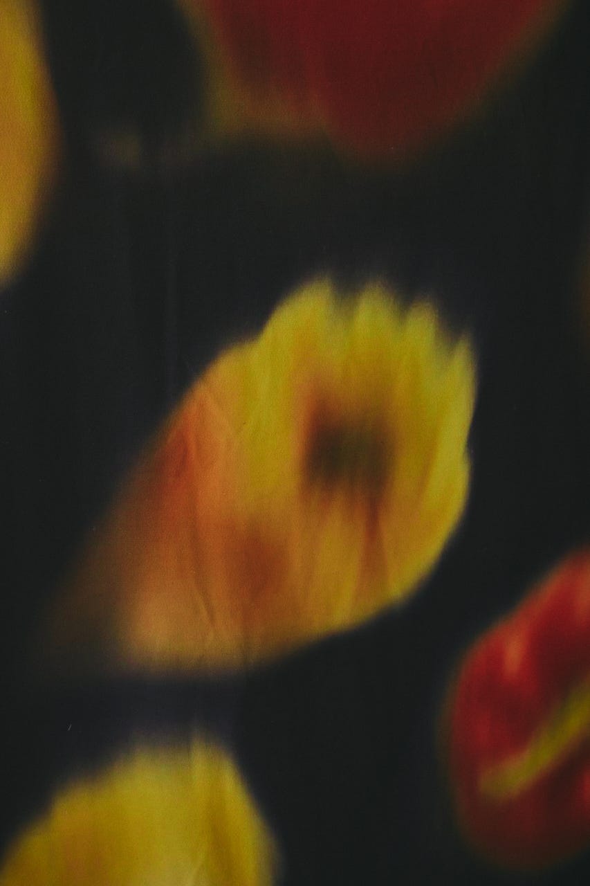 ［予約］Paprika pattern dress 柄NVY FREE