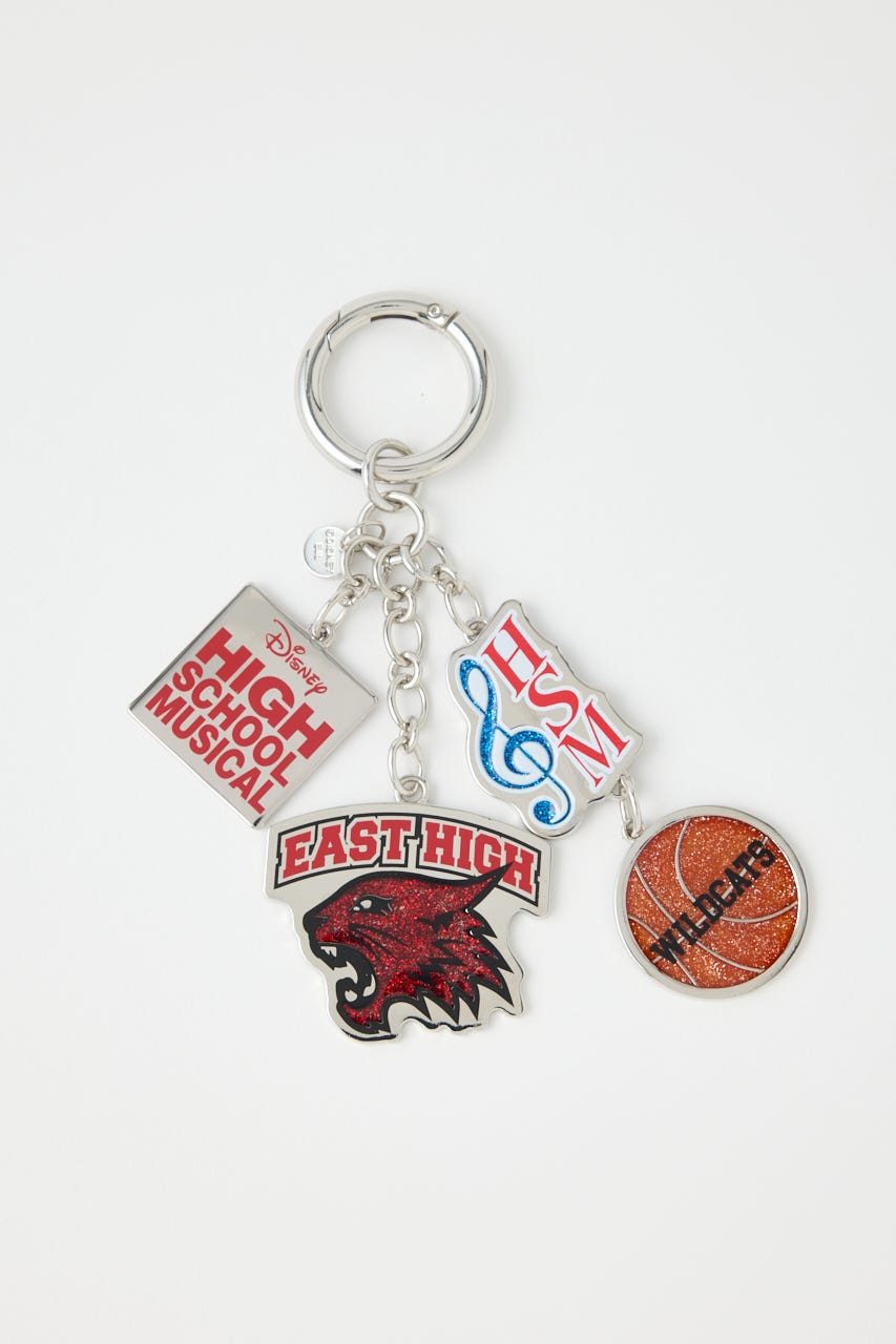 MD KEYHOLDER / HSM SLV FREE