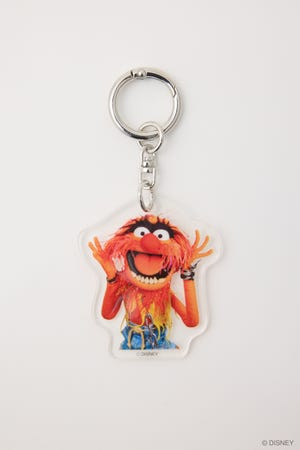 MD ACRYLIC KH / KERMIT