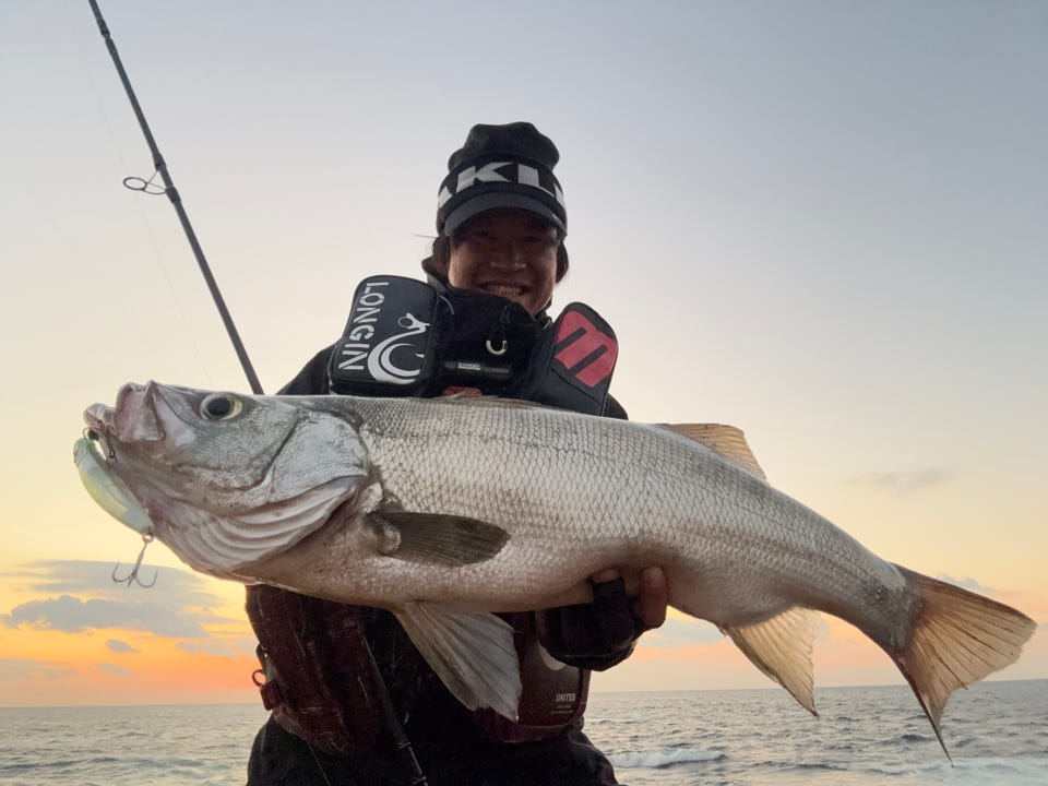 エイムス シーバスロッド ブラックアロー アンリミテッド-110MH Type R