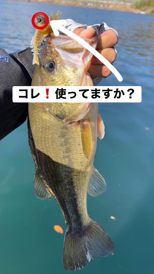 釣具の通販なら｜キャスティングオンラインストア【公式】