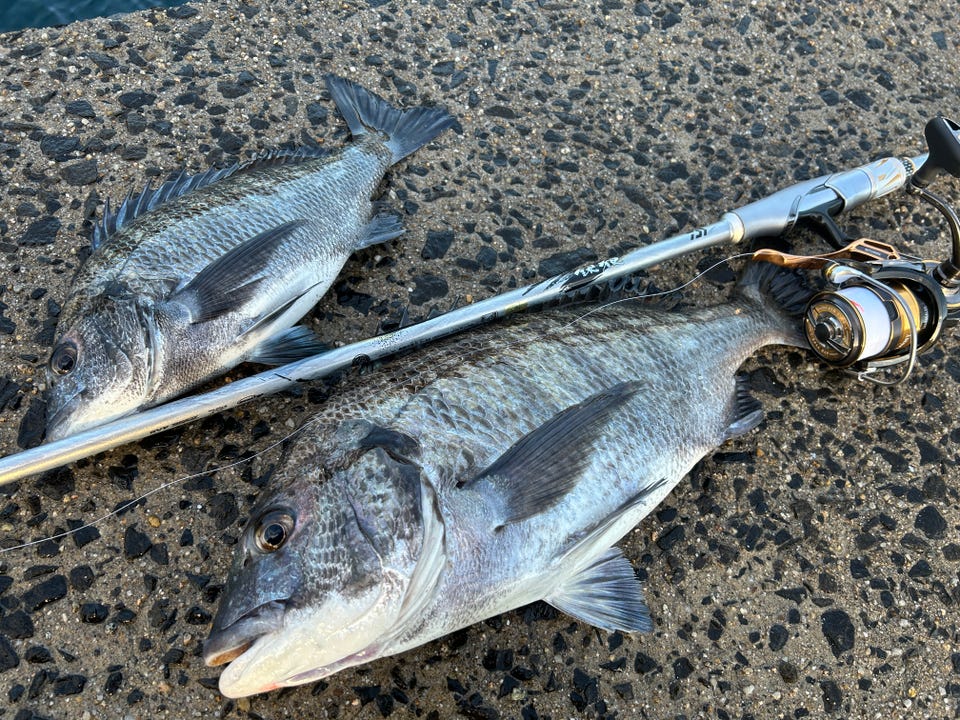 釣具の通販なら｜キャスティングオンラインストア【公式】