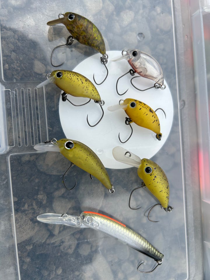 釣具の通販なら｜キャスティングオンラインストア【公式】