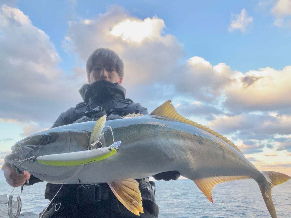 ダイワ ショアジグロッド ドラッガー SX 97HH-3(3ピース)(97HH-3): 竿