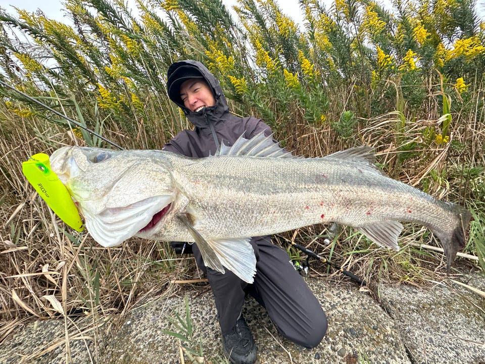 LSHIJIスローネットキャストネットブラウンキャッチフィッシュネットワークアウトドアスポーツハンドスローフィッシングネットキャスト LSHIJI スローネットポータブルフィッシングネットスチールシンカー付き耐摩耗ハンドスローキャッチフィッシュネットワーク キャストネット キャストネット ブラウン キャッチフィッシュネットワーク アウトドアスポーツハンドスローフィッシングネット 餌魚用キ