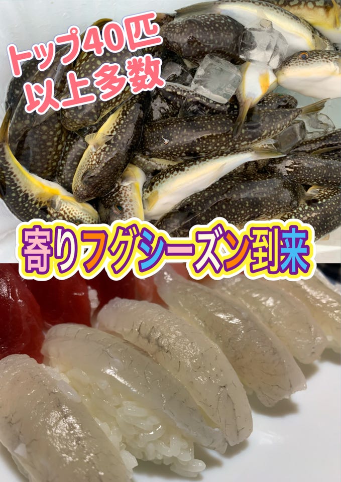 シマノ フグ竿 21ベイゲーム ワンフグ 180: 竿｜釣具の通販なら