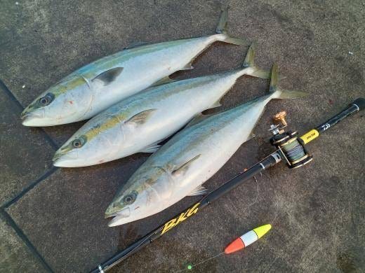 ダイワ 遠投竿 バトルゲーム BKG(ブッコミゲーム) T XH470B(XH470B