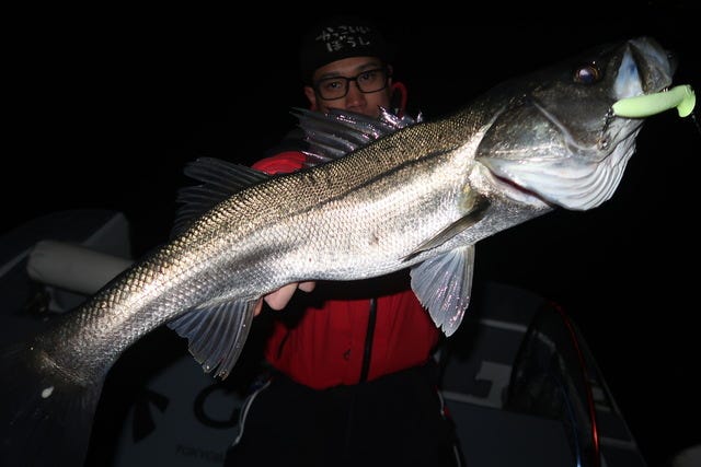 ダイワ シーバスロッド モアザン ブランジーノ EX AGS 80HB(ベイト 2