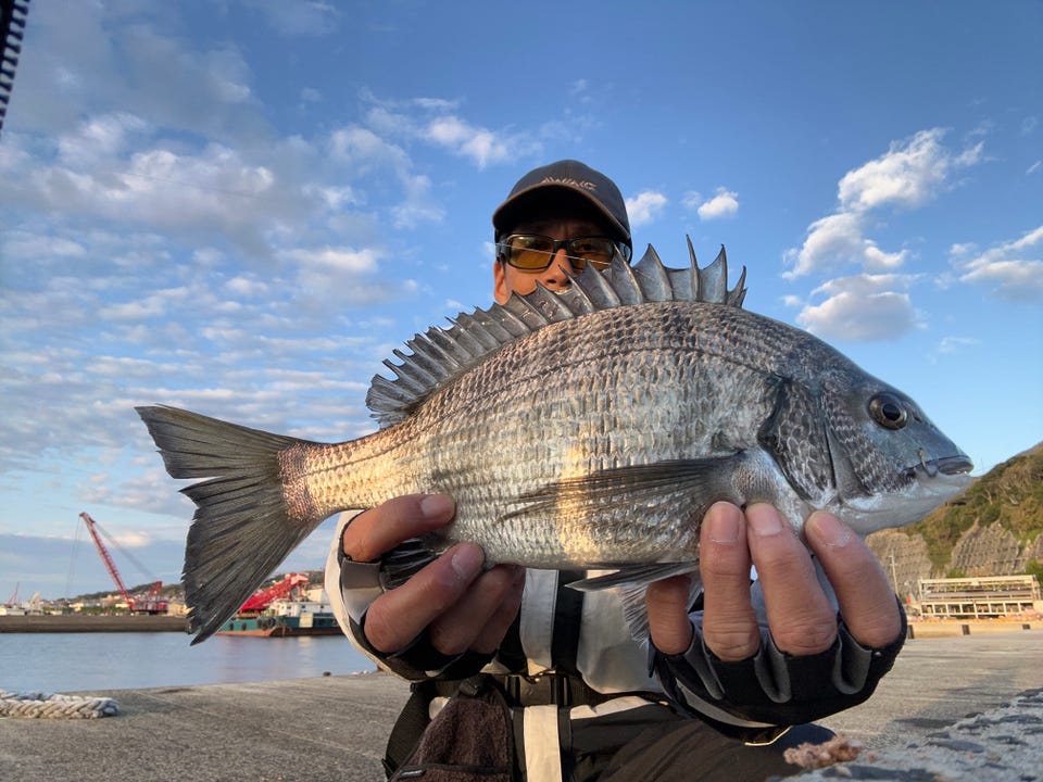 釣具の通販なら｜キャスティングオンラインストア【公式】
