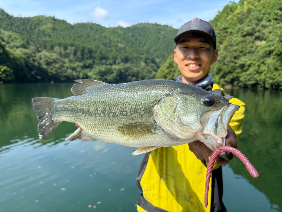 釣具の通販なら｜キャスティングオンラインストア【公式】