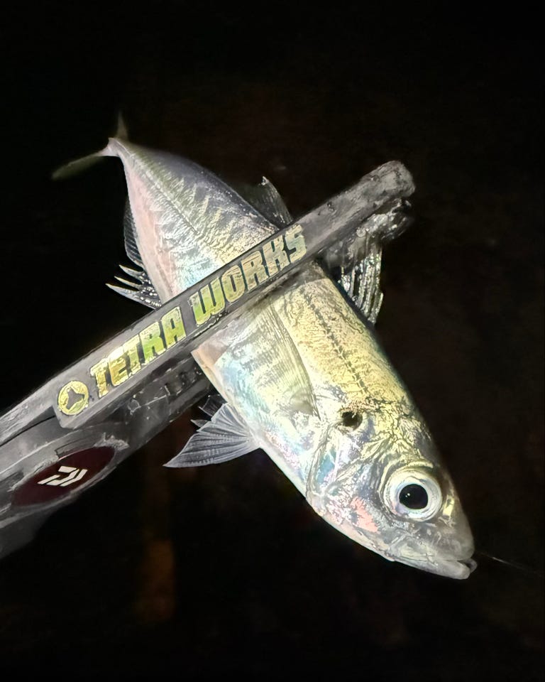 デュオ TWリアクト58 TWRT-58【即日発送】: 竿｜釣具の通販なら